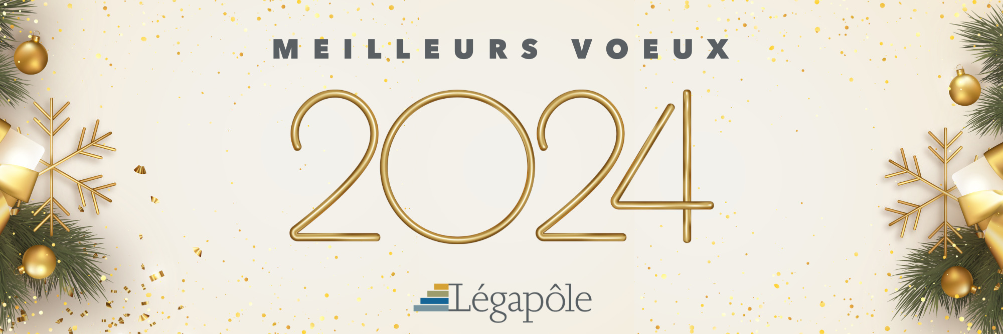 Meilleurs vœux 2024 Légapôle